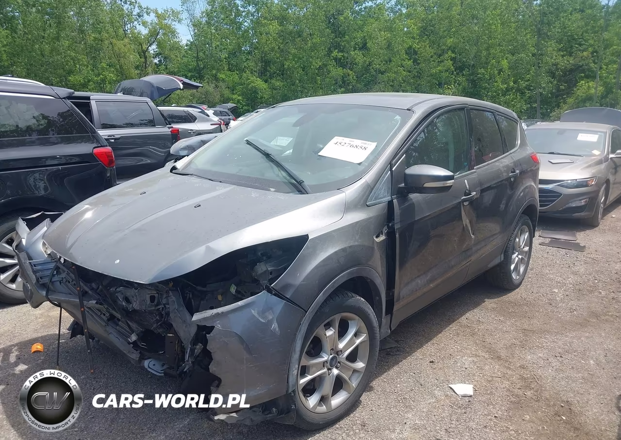 2013 Ford Escape Sel VIN:1FMCU0H9XDUC72196 - 2
