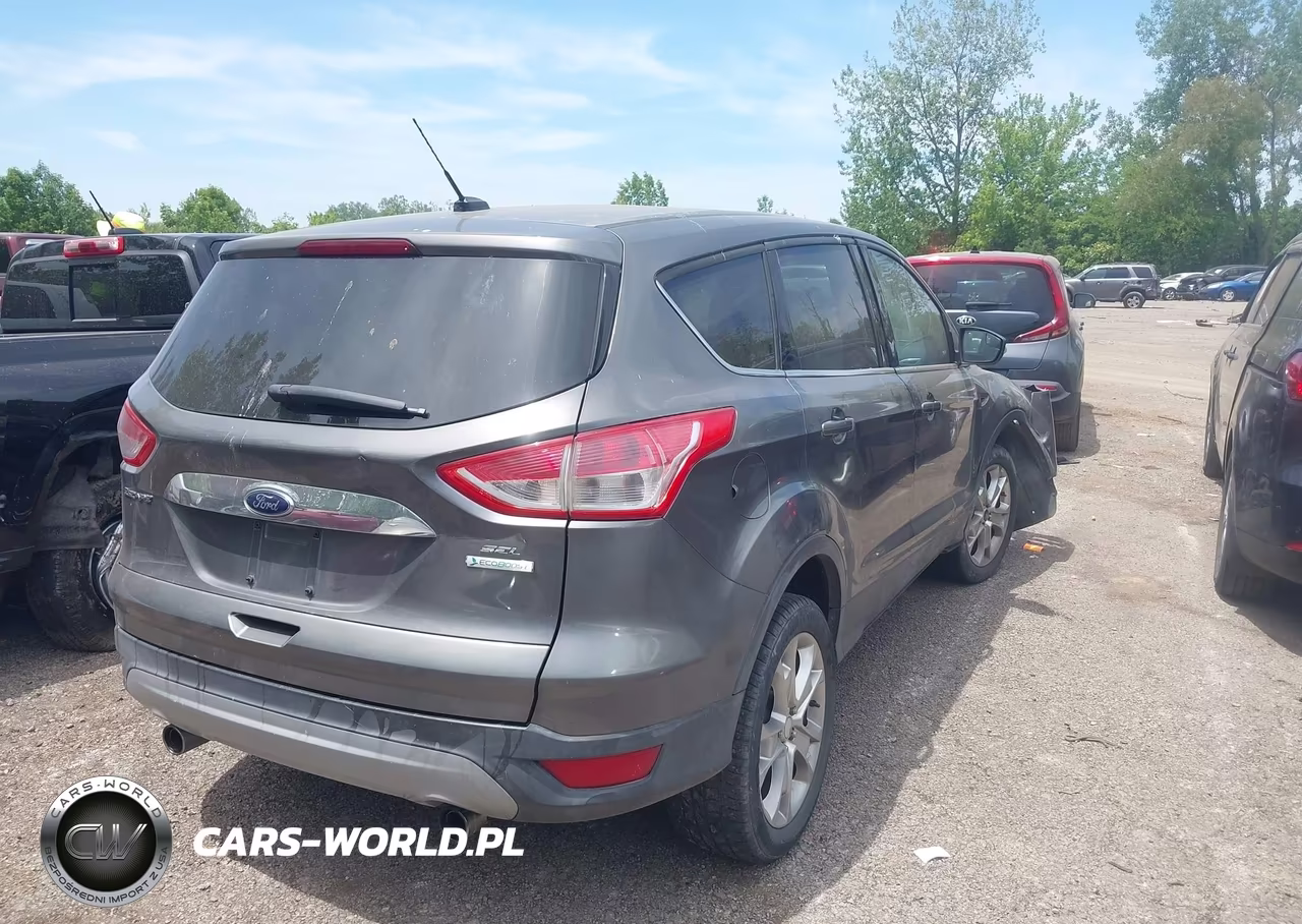 2013 Ford Escape Sel VIN:1FMCU0H9XDUC72196 - 4