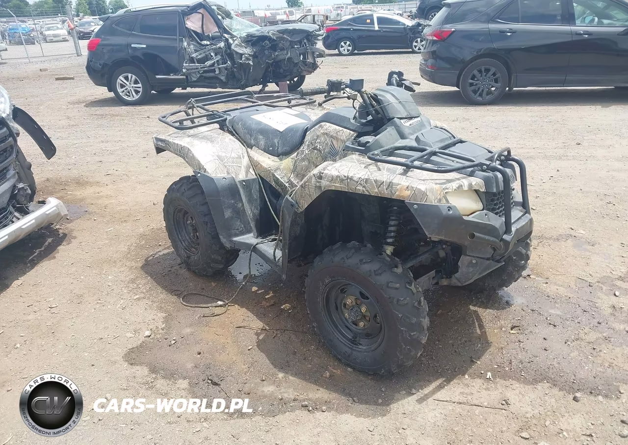 2018 Honda Trx420 Fa – zdjęcie 1 z 11