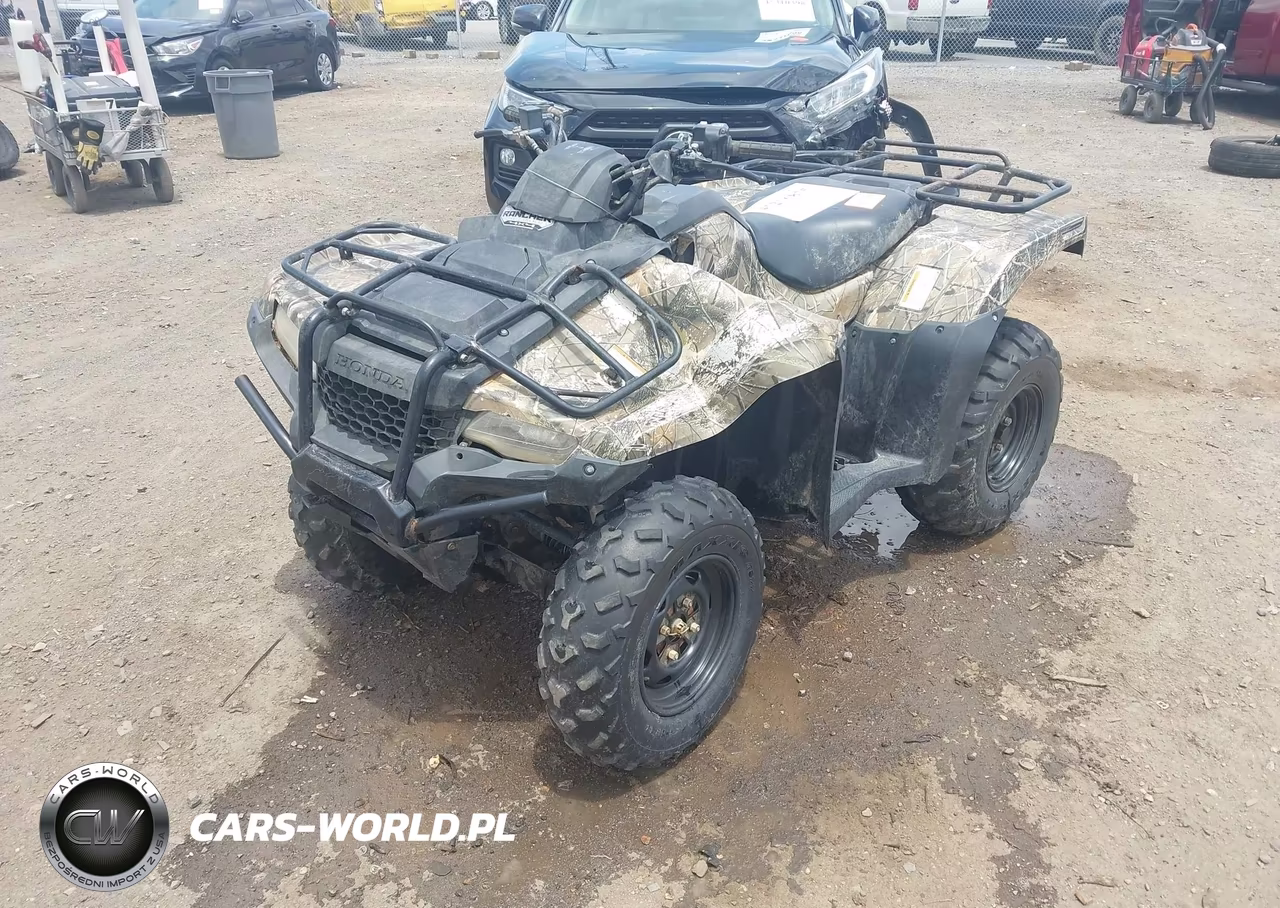 2018 Honda Trx420 Fa VIN:1HFTE47E1J4300153 - 2