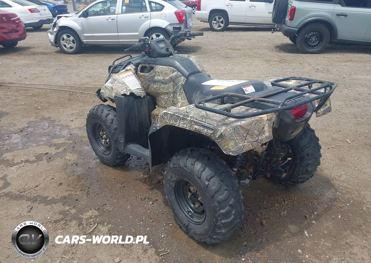 2018 Honda Trx420 Fa VIN:1HFTE47E1J4300153 - 3