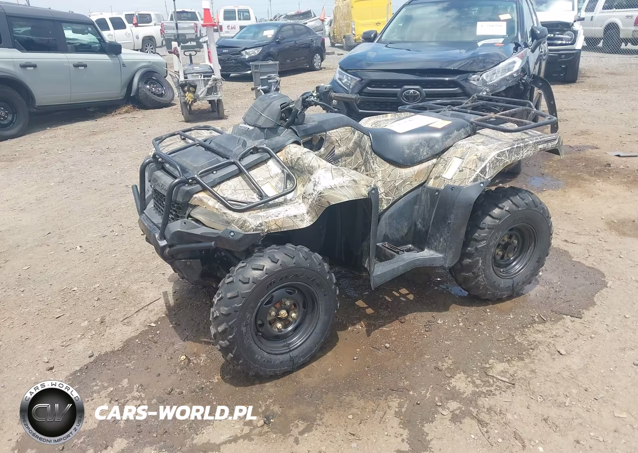 2018 Honda Trx420 Fa VIN:1HFTE47E1J4300153 - 5