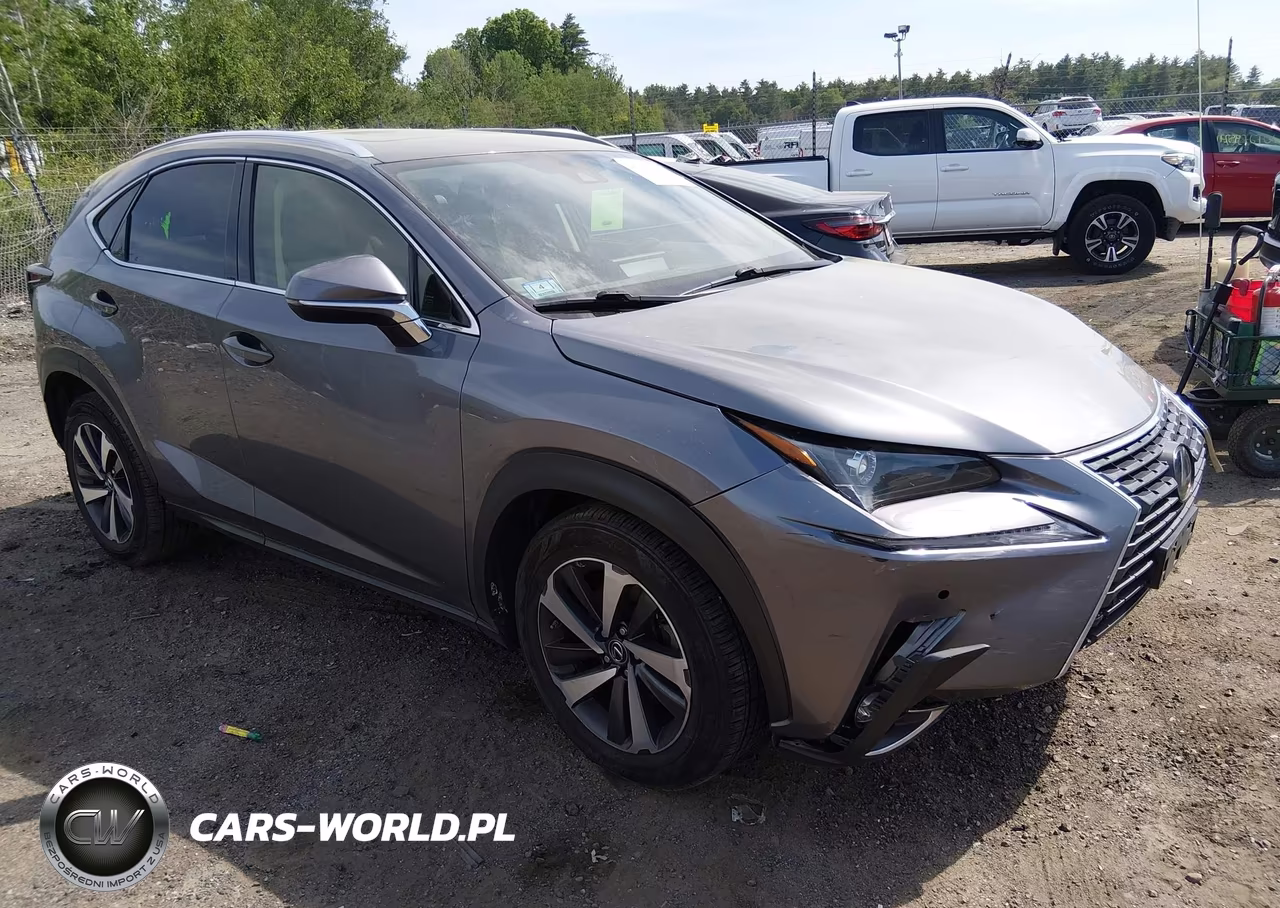 2020 Lexus Nx 300