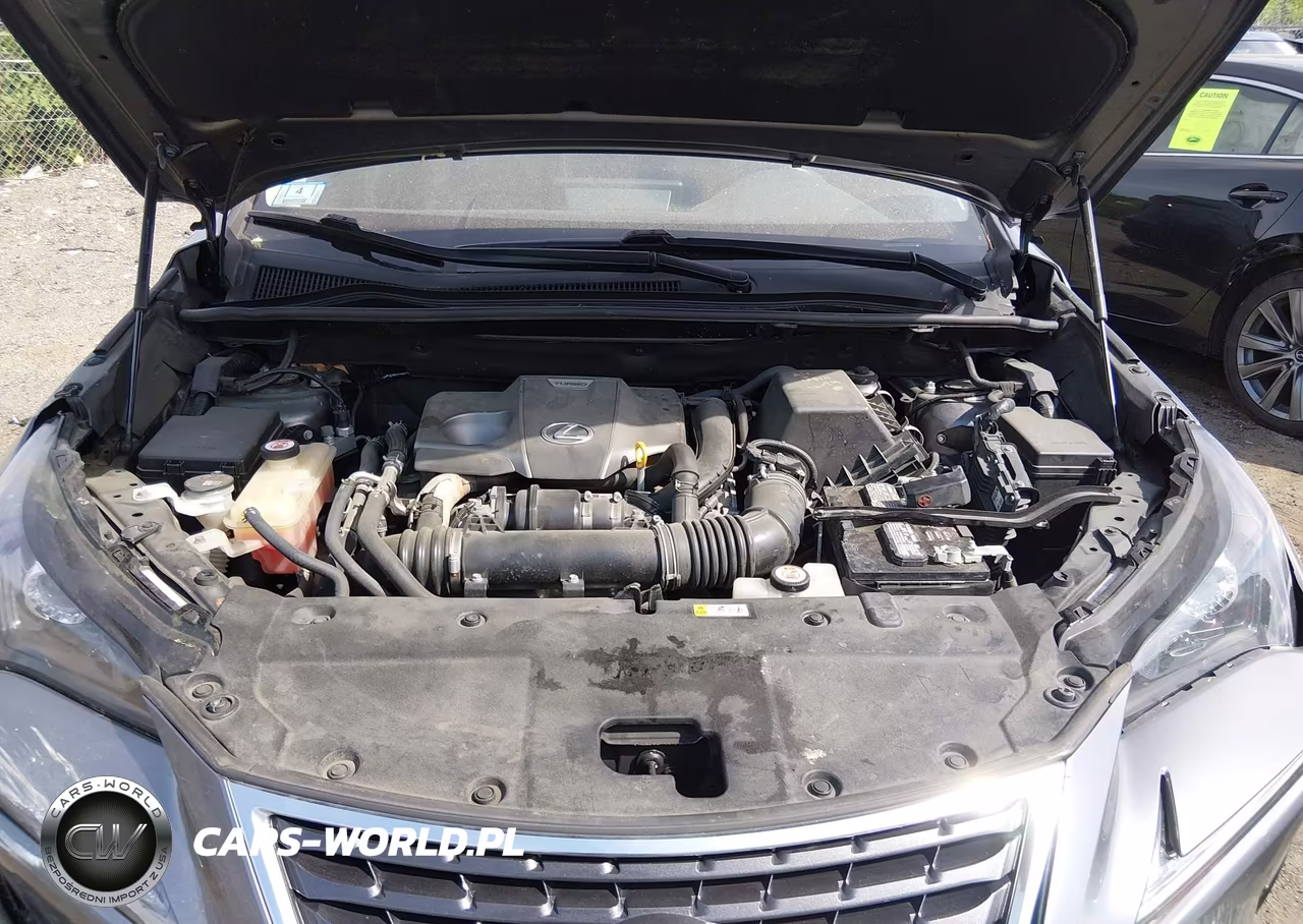 2020 Lexus Nx 300 VIN:JTJGARDZ2L2232601 - 10