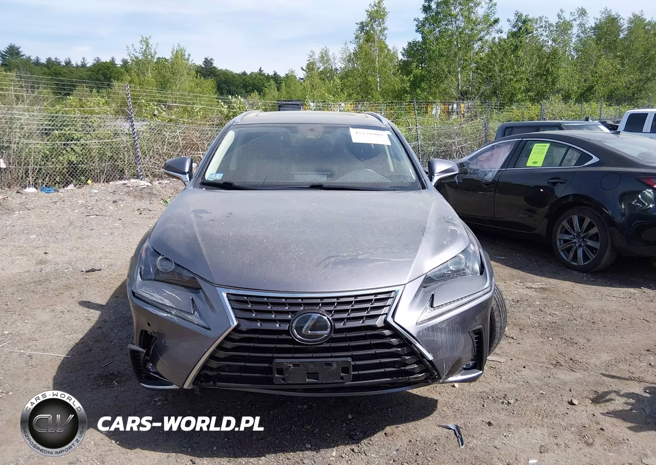 2020 Lexus Nx 300 VIN:JTJGARDZ2L2232601 - 12