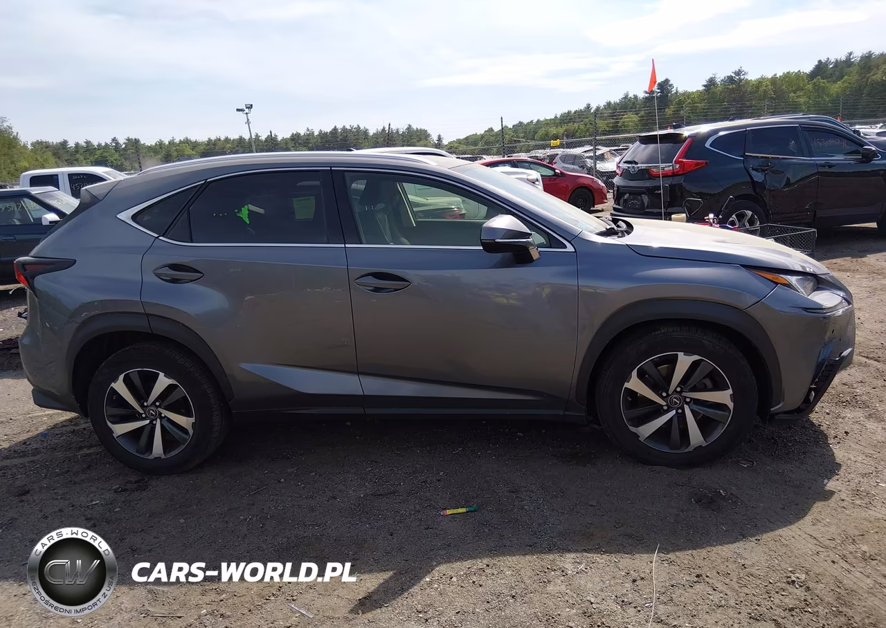 2020 Lexus Nx 300 VIN:JTJGARDZ2L2232601 - 13