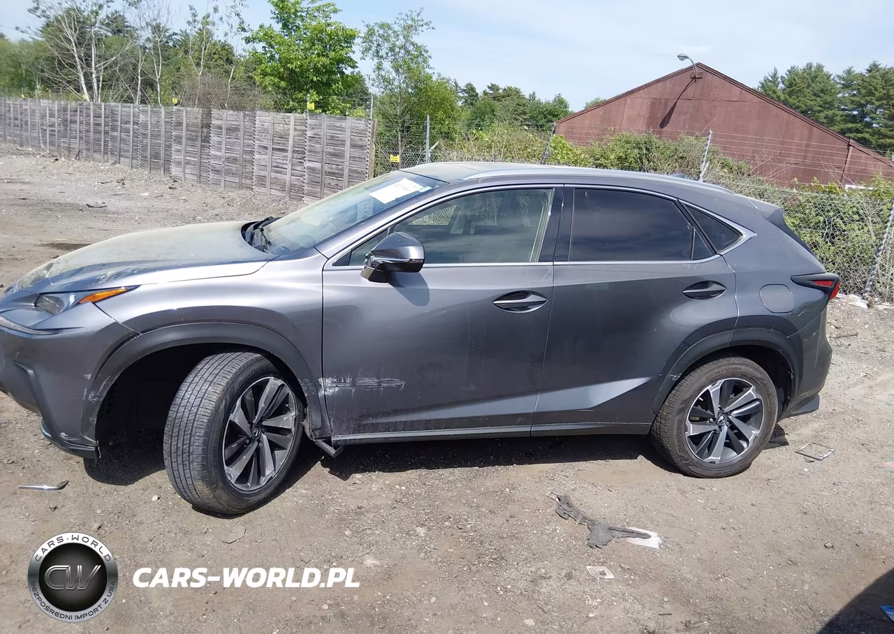 2020 Lexus Nx 300 VIN:JTJGARDZ2L2232601 - 14