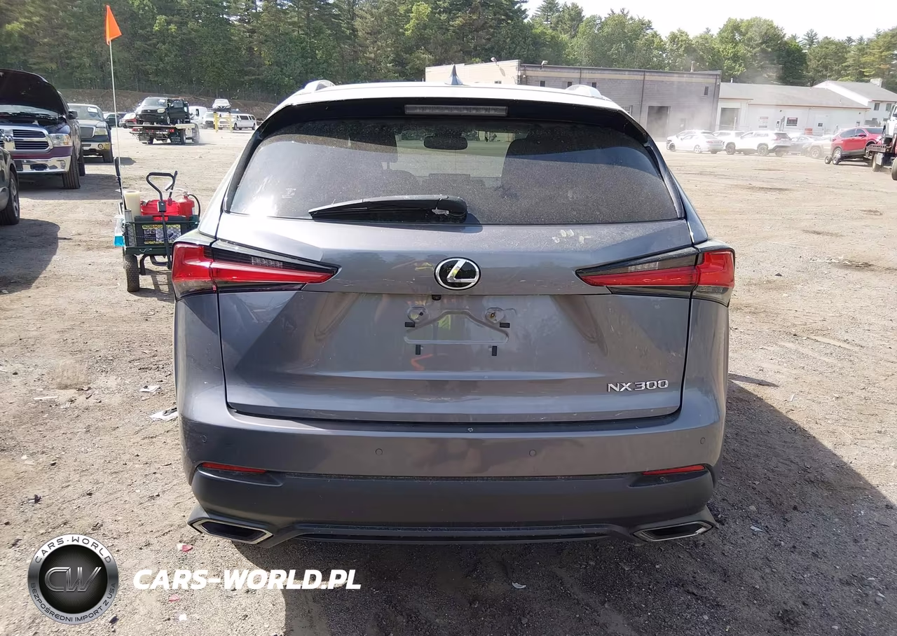 2020 Lexus Nx 300 VIN:JTJGARDZ2L2232601 - 16