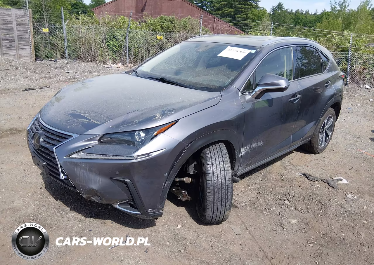 2020 Lexus Nx 300 VIN:JTJGARDZ2L2232601 - 2