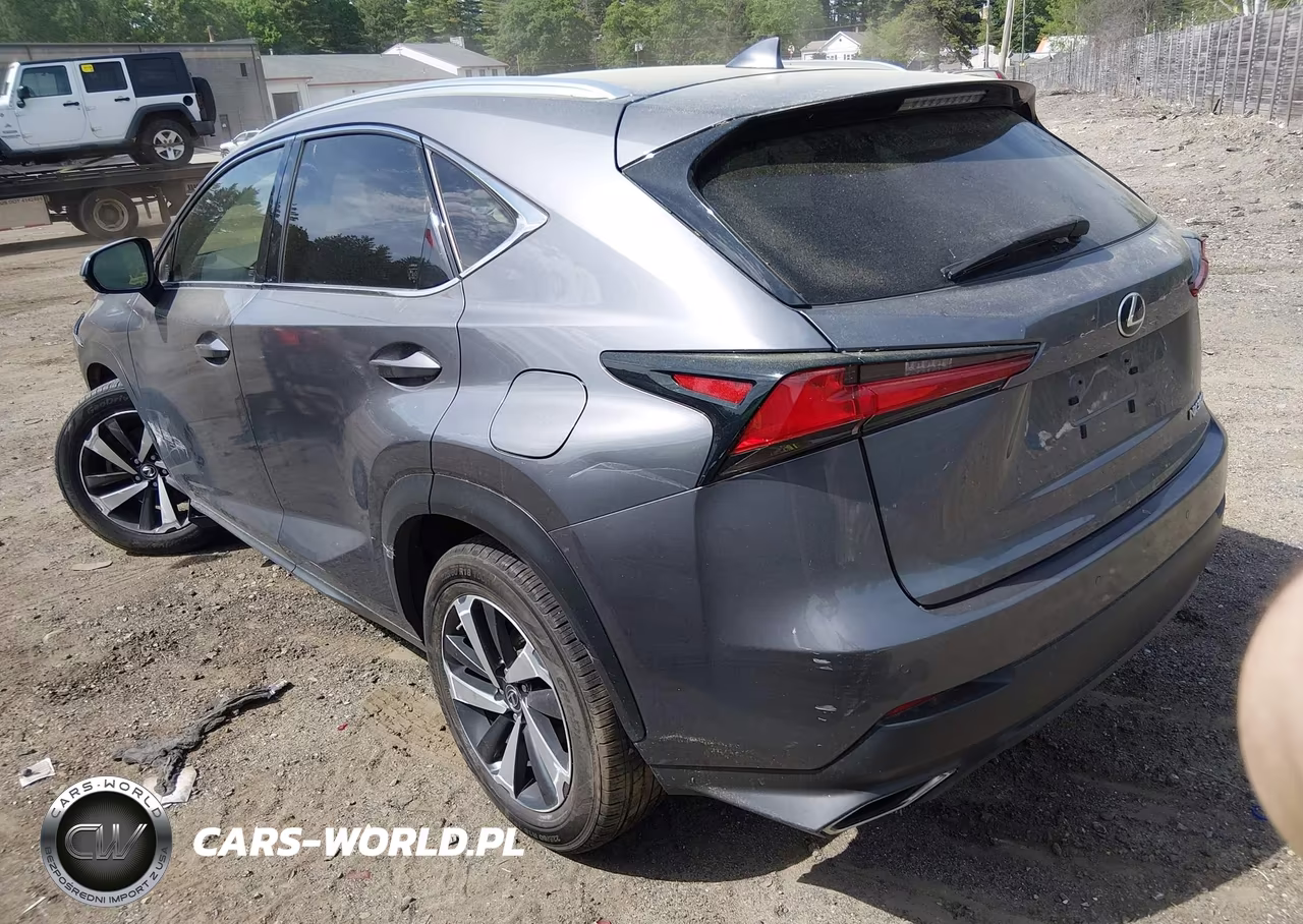 2020 Lexus Nx 300 VIN:JTJGARDZ2L2232601 - 3
