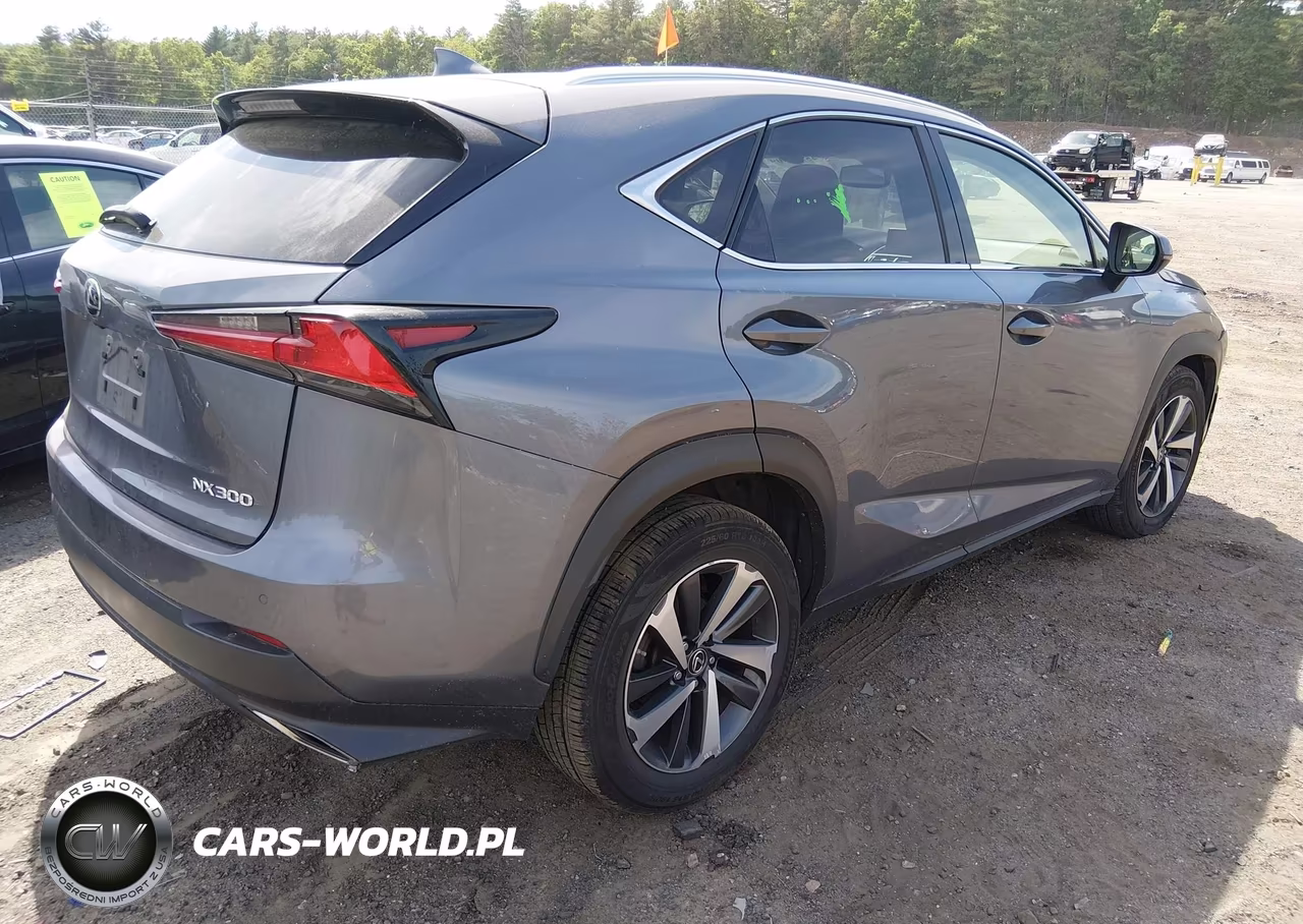 2020 Lexus Nx 300 VIN:JTJGARDZ2L2232601 - 4