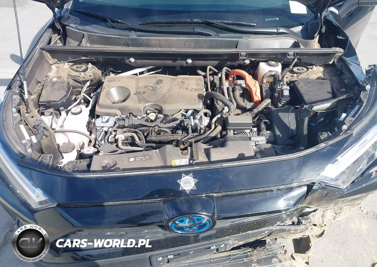 2024 Toyota Rav4 Hybrid Xle VIN:4T3RWRFV8RU128489 - 10
