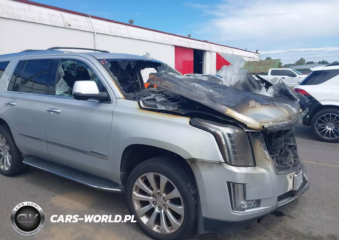 2016 Cadillac Escalade Luxury Collection VIN:1GYS4BKJ6GR452713 - 12