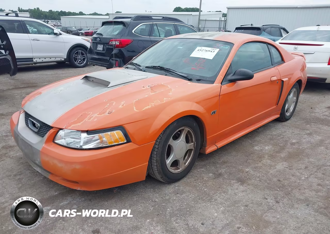 2003 Ford Mustang Gt VIN:1FAFP42X03F424244 - 2
