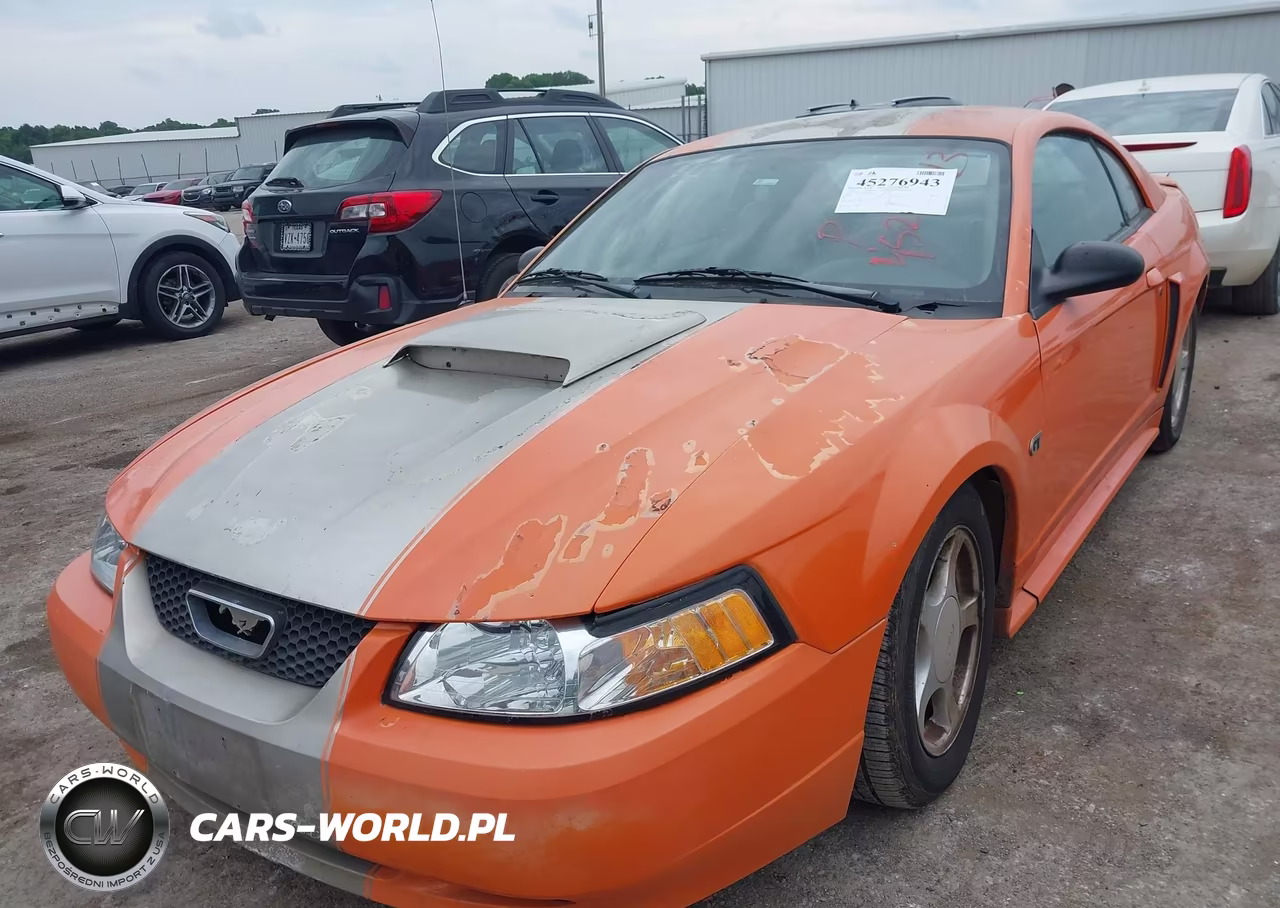 2003 Ford Mustang Gt VIN:1FAFP42X03F424244 - 6