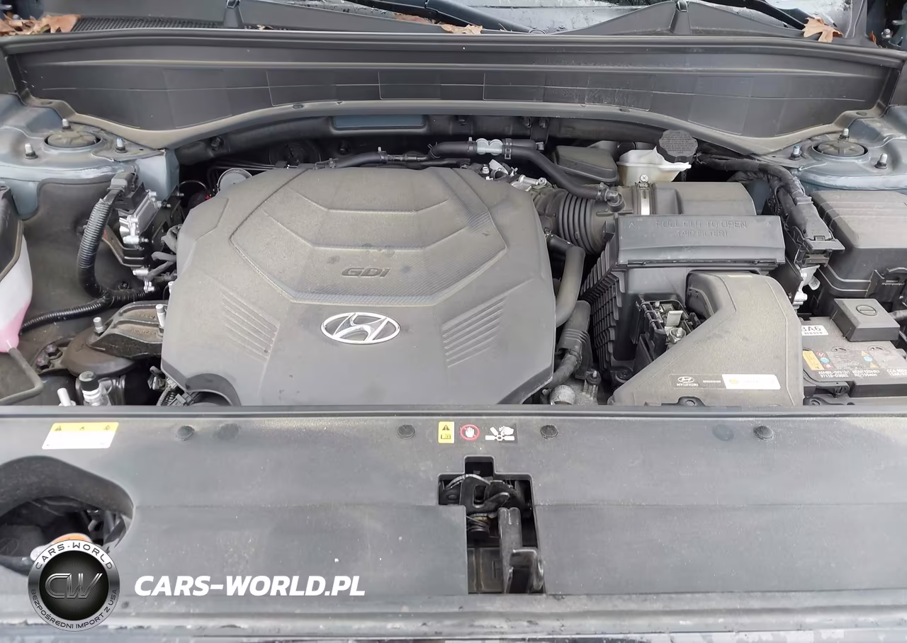 2025 Hyundai Palisade Sel Premium 8P VIN:KM8R4DGE7SU820958 - 10