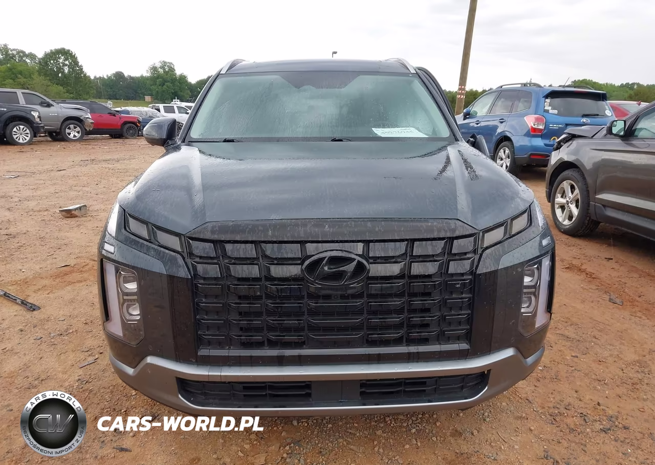 2025 Hyundai Palisade Sel Premium 8P VIN:KM8R4DGE7SU820958 - 12