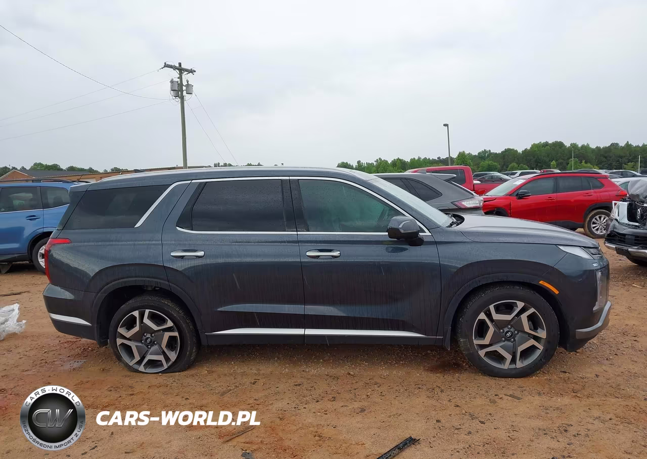 2025 Hyundai Palisade Sel Premium 8P VIN:KM8R4DGE7SU820958 - 13