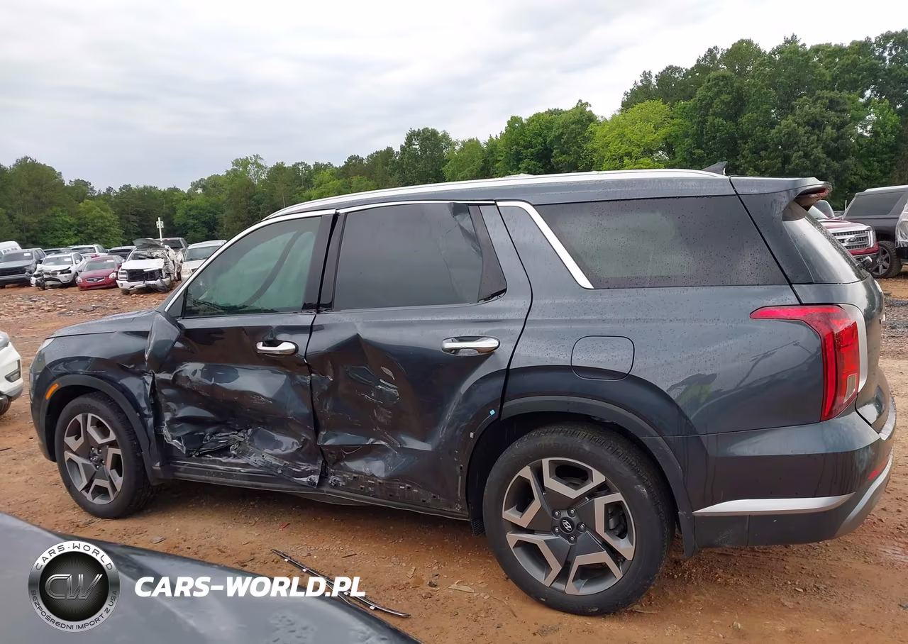 2025 Hyundai Palisade Sel Premium 8P VIN:KM8R4DGE7SU820958 - 14