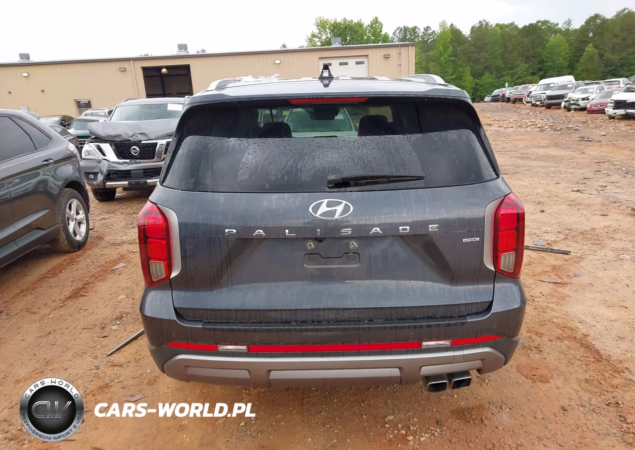 2025 Hyundai Palisade Sel Premium 8P VIN:KM8R4DGE7SU820958 - 16