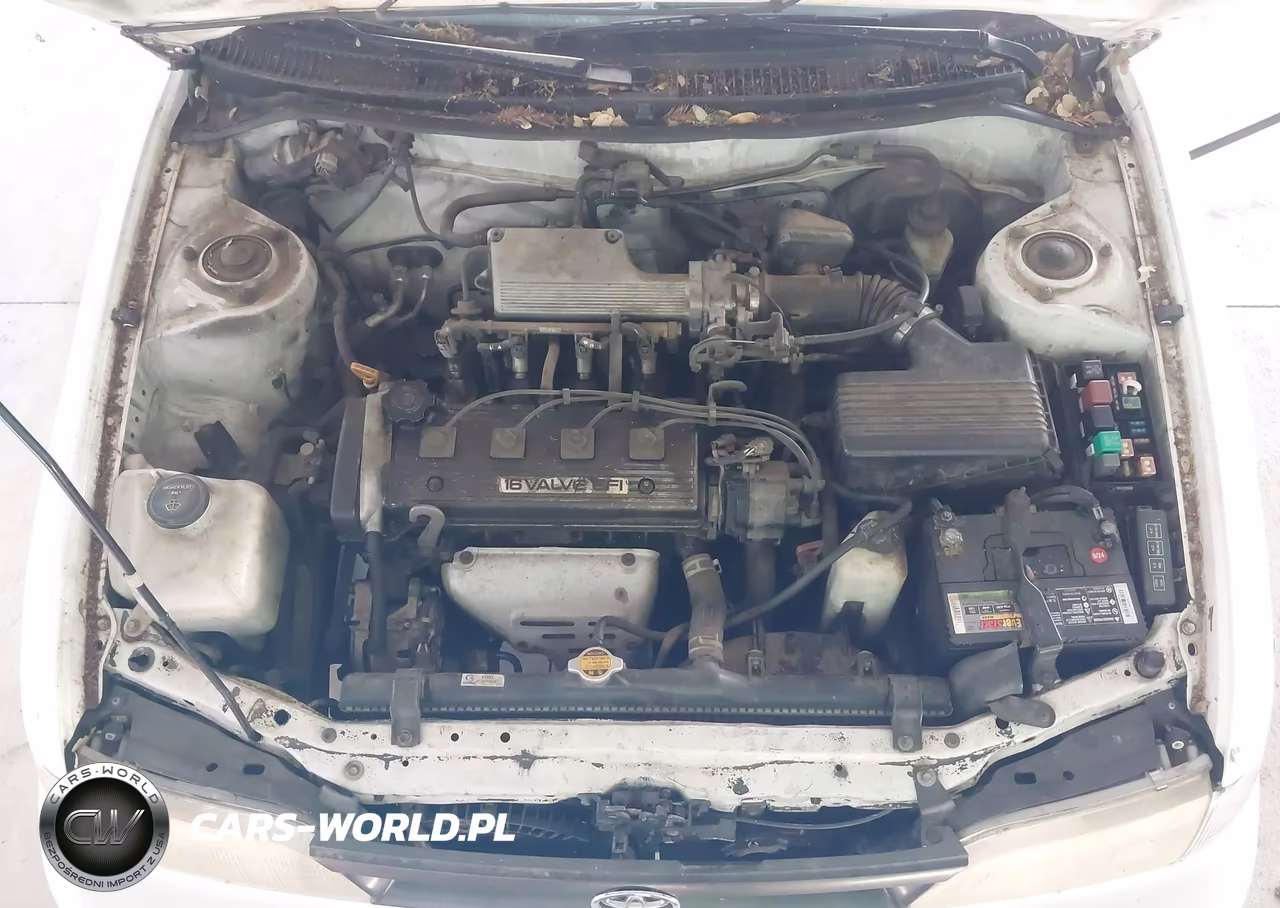 1994 Toyota Corolla Le-Dx VIN:2T1AE09B9RC058024 - 10
