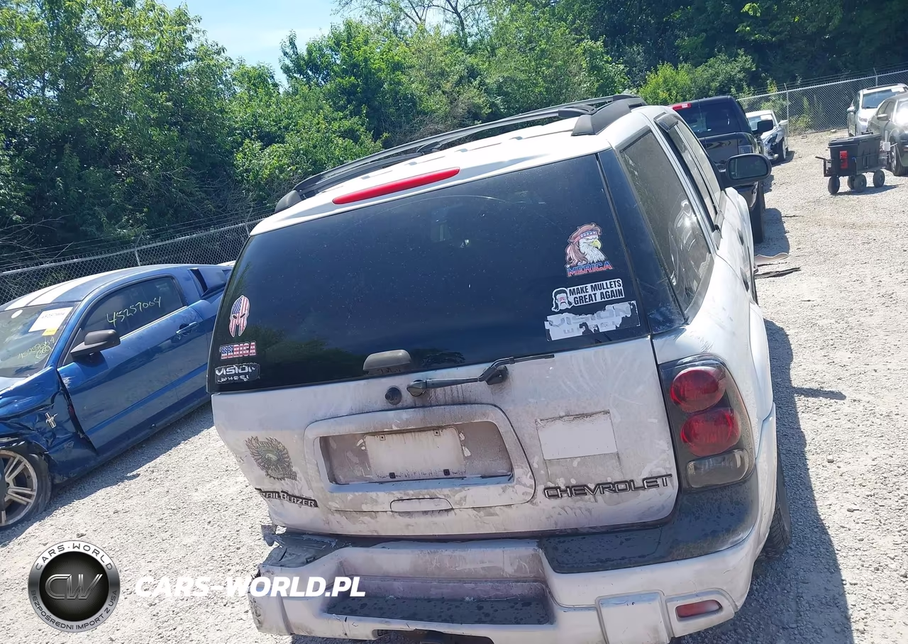 2003 Chevrolet Trailblazer Ls VIN:1GNDT13S332330596 - 17