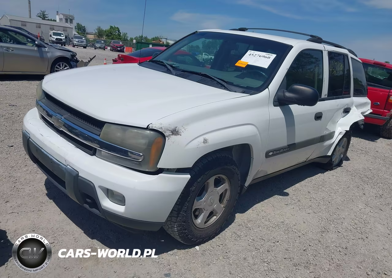 2003 Chevrolet Trailblazer Ls VIN:1GNDT13S332330596 - 2
