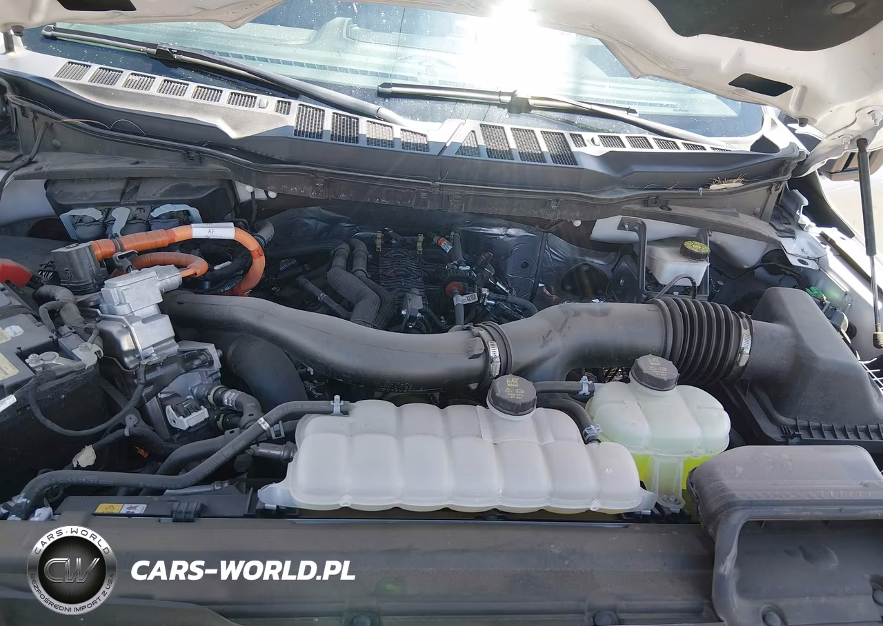 2024 Ford F-150 Xlt VIN:1FTFW3LD4RFA61919 - 10