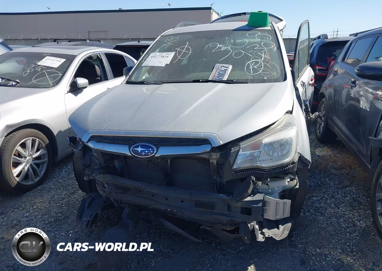 2017 Subaru Forester 2.5I VIN:JF2SJABC2HH585391 - 13