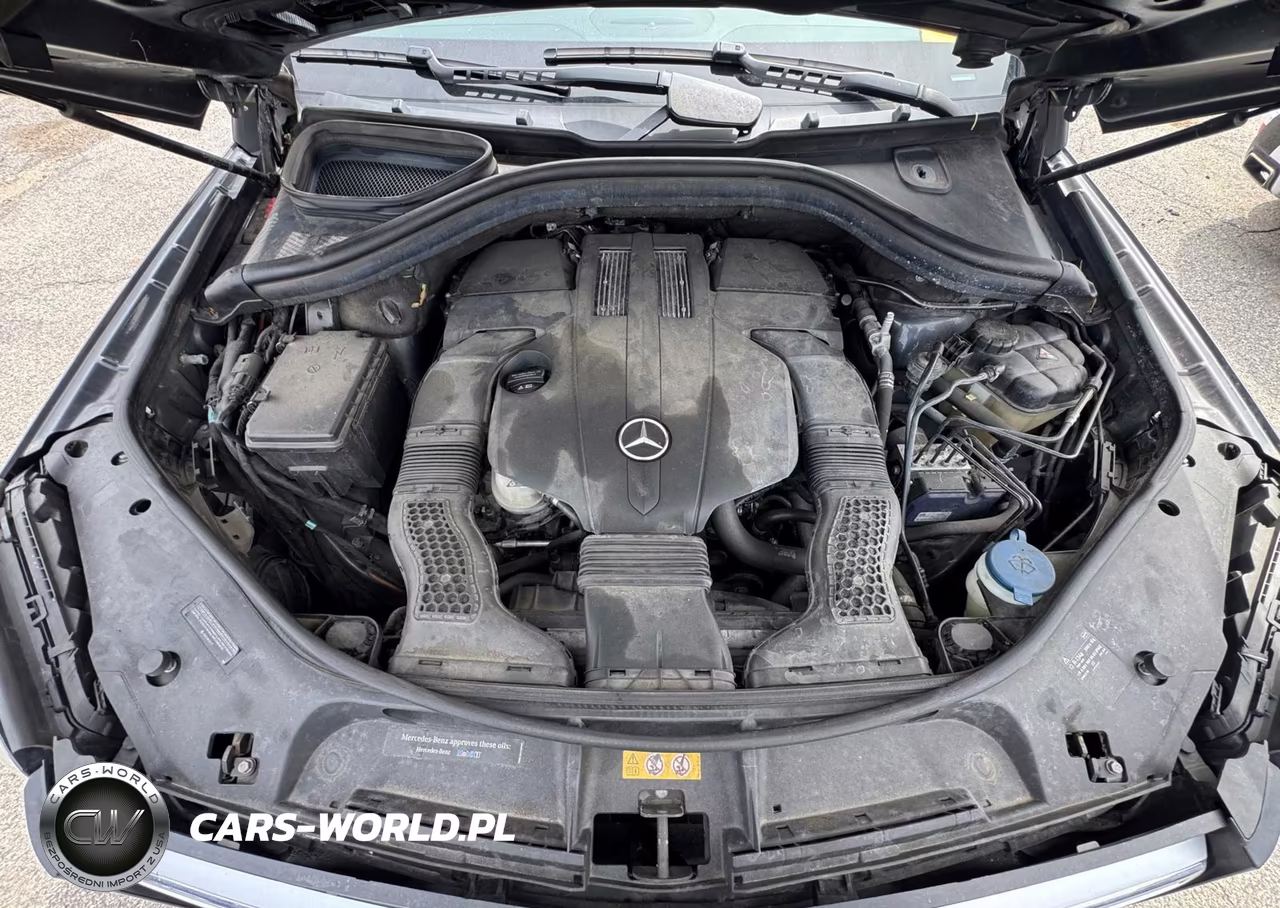2017 Mercedes-Benz Gls 450 4Matic VIN:4JGDF6EE5HA752284 - 10