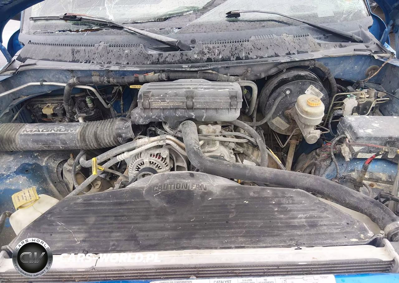 1999 Dodge Ram 1500 St VIN:1B7HF13Z6XJ633303 - 10