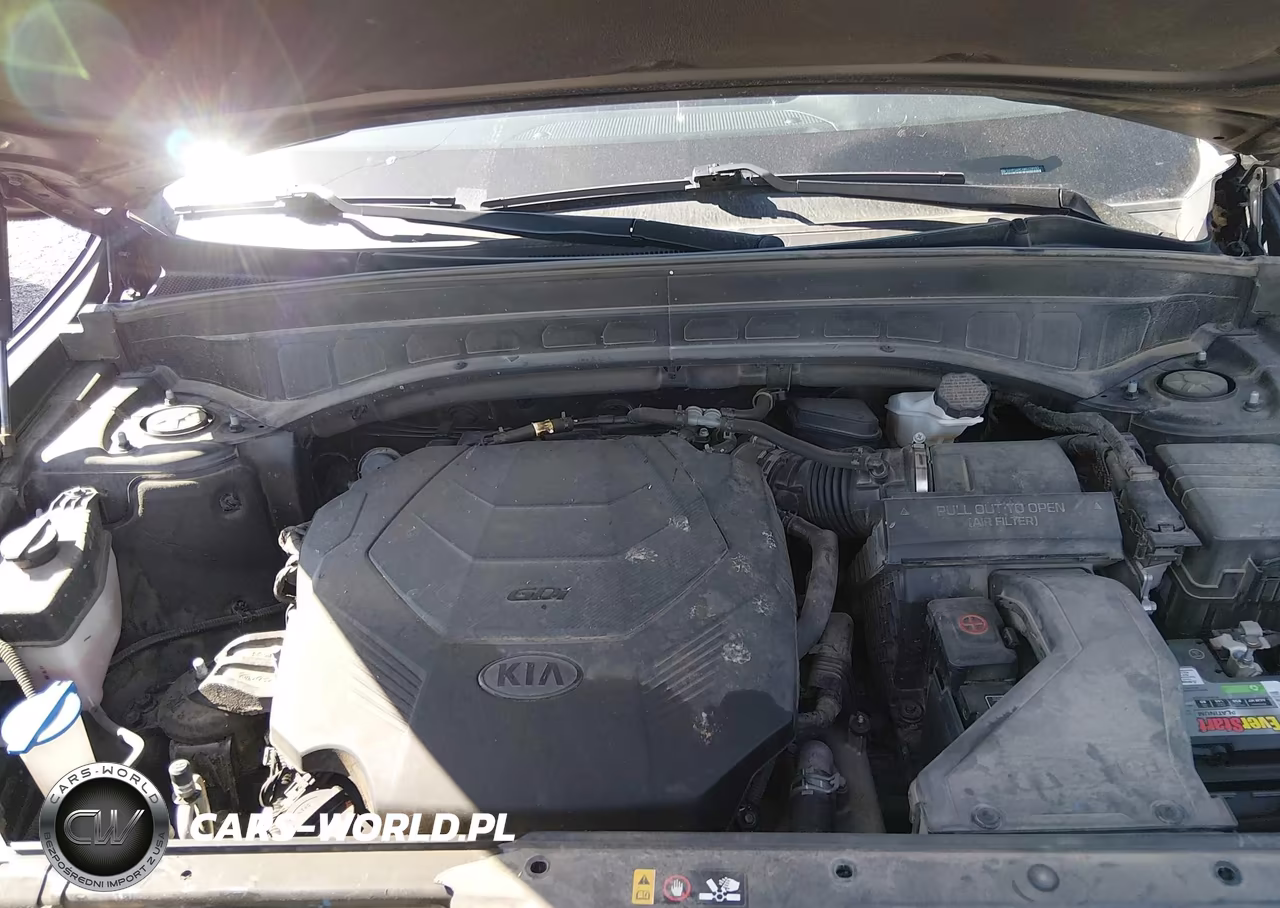 2021 Kia Telluride Ex VIN:5XYP34HCXMG159085 - 10