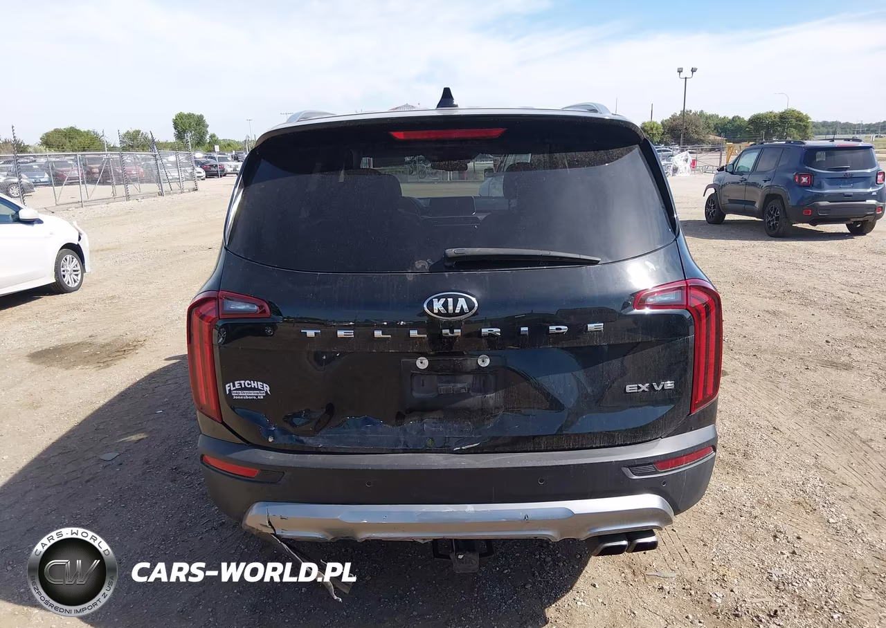 2021 Kia Telluride Ex VIN:5XYP34HCXMG159085 - 16