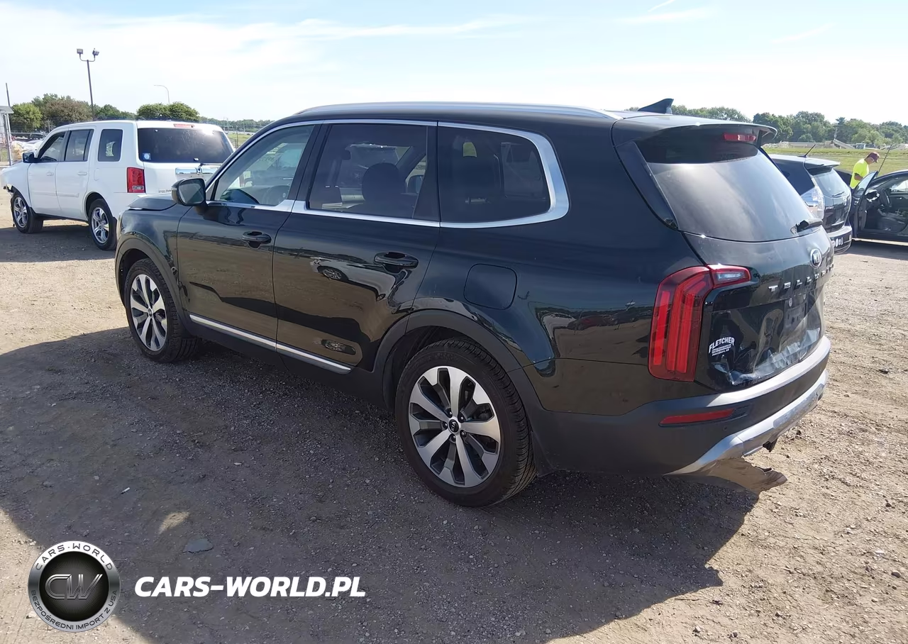 2021 Kia Telluride Ex VIN:5XYP34HCXMG159085 - 3