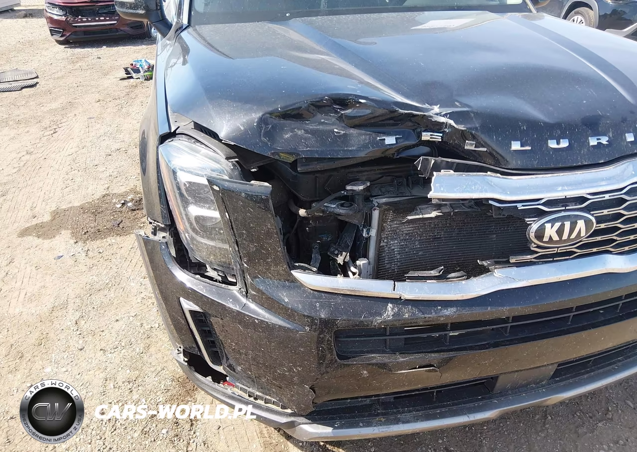 2021 Kia Telluride Ex VIN:5XYP34HCXMG159085 - 6
