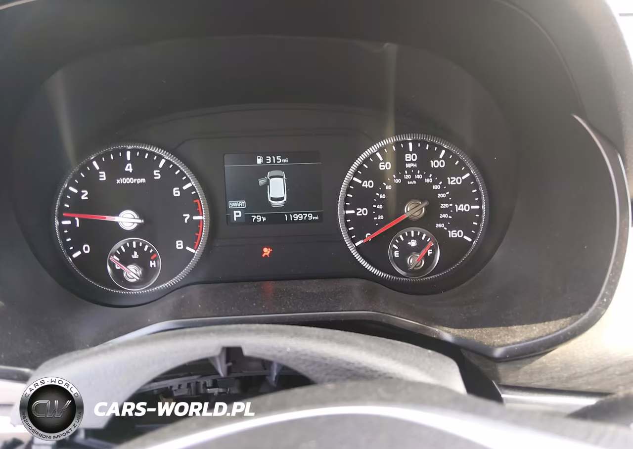 2021 Kia Telluride Ex VIN:5XYP34HCXMG159085 - 7