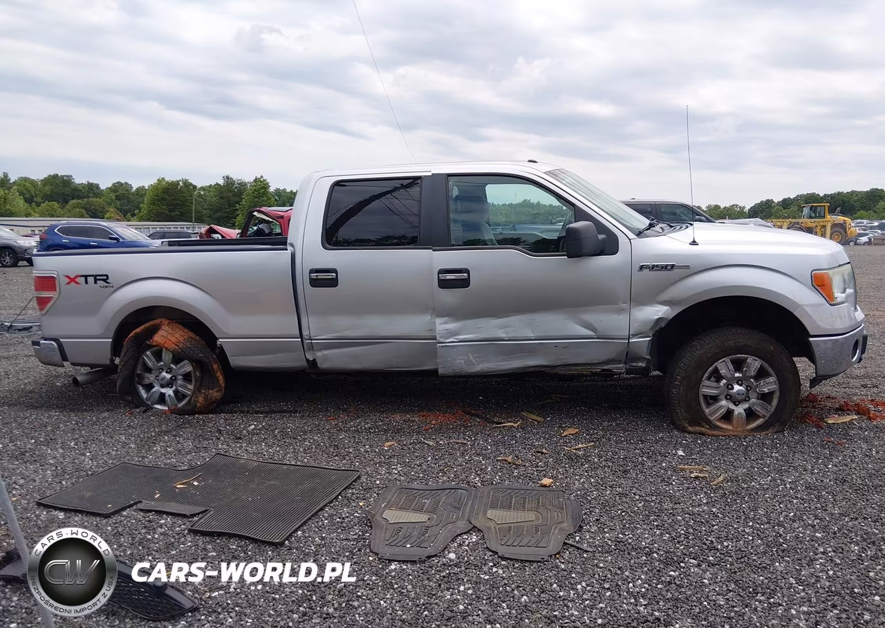 2012 Ford F-150 Xlt VIN:1FTFW1EF7CFA62573 - 13