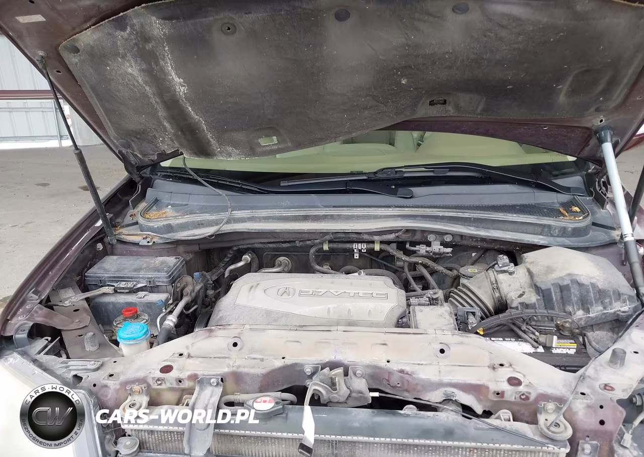 2009 Acura Mdx VIN:2HNYD28229H524617 - 10