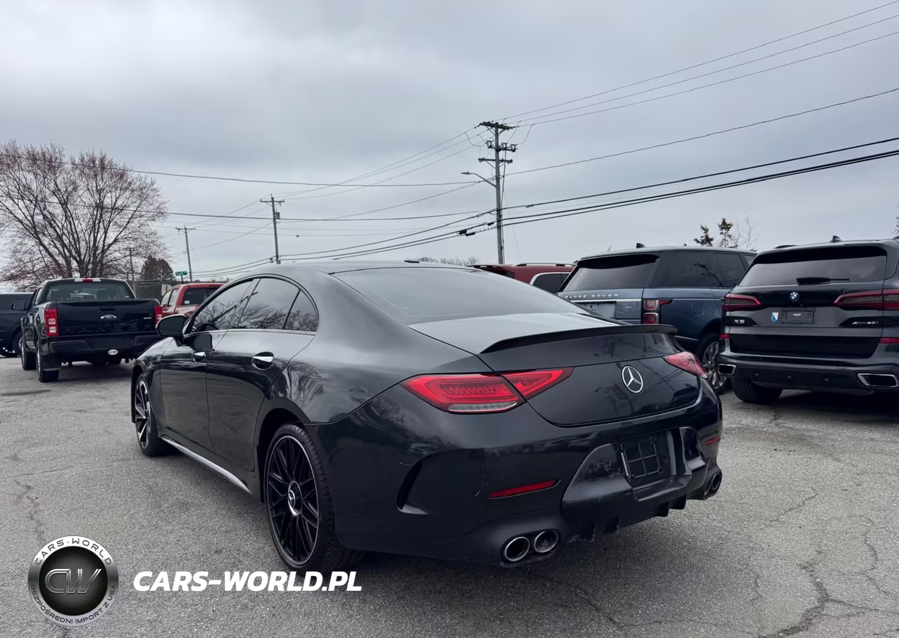 2019 Mercedes-Benz Cls Amg 53 4Matic VIN:WDD2J6BB7KA019042 - 3