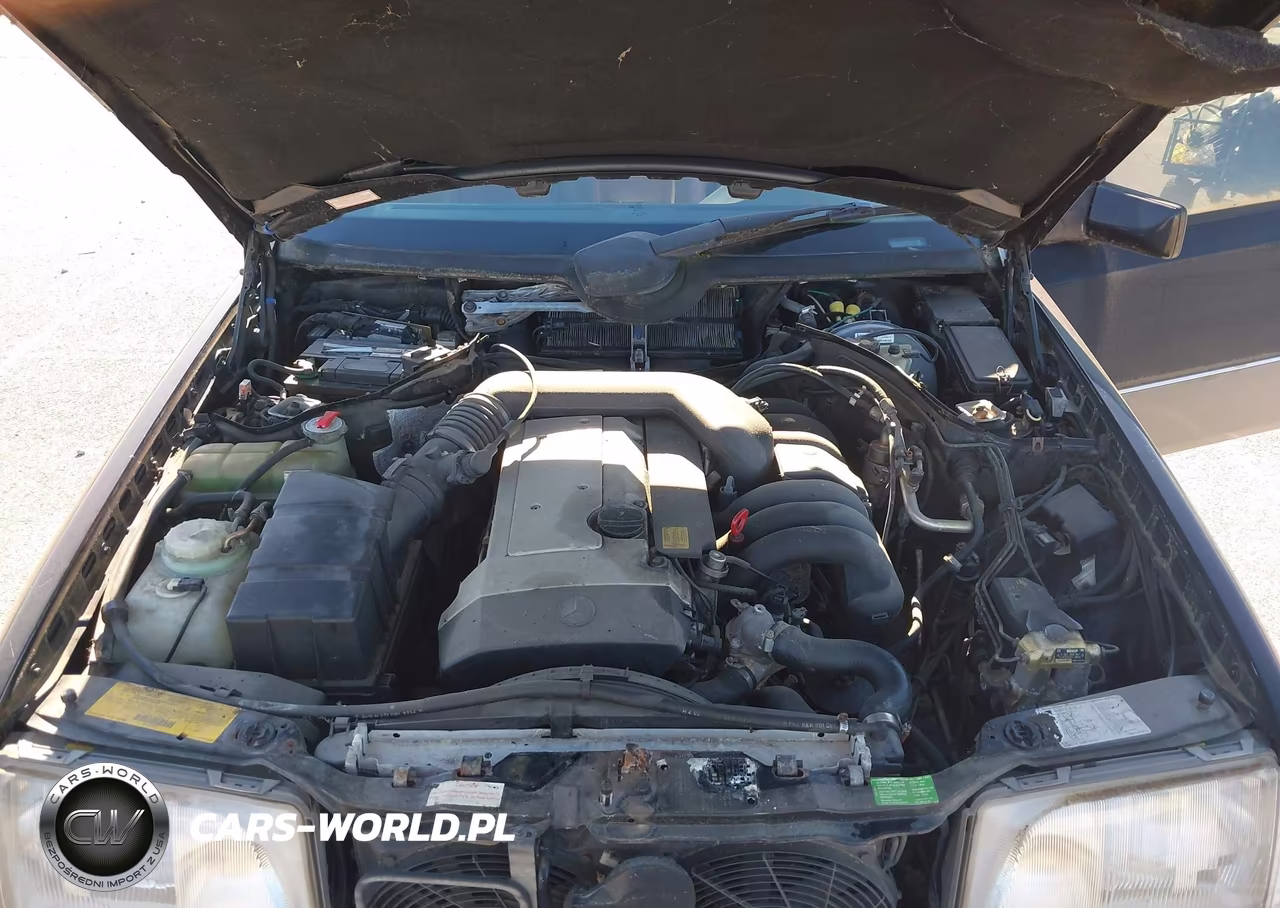1994 Mercedes-Benz E 320 VIN:WDBEA32E9RC131953 - 10