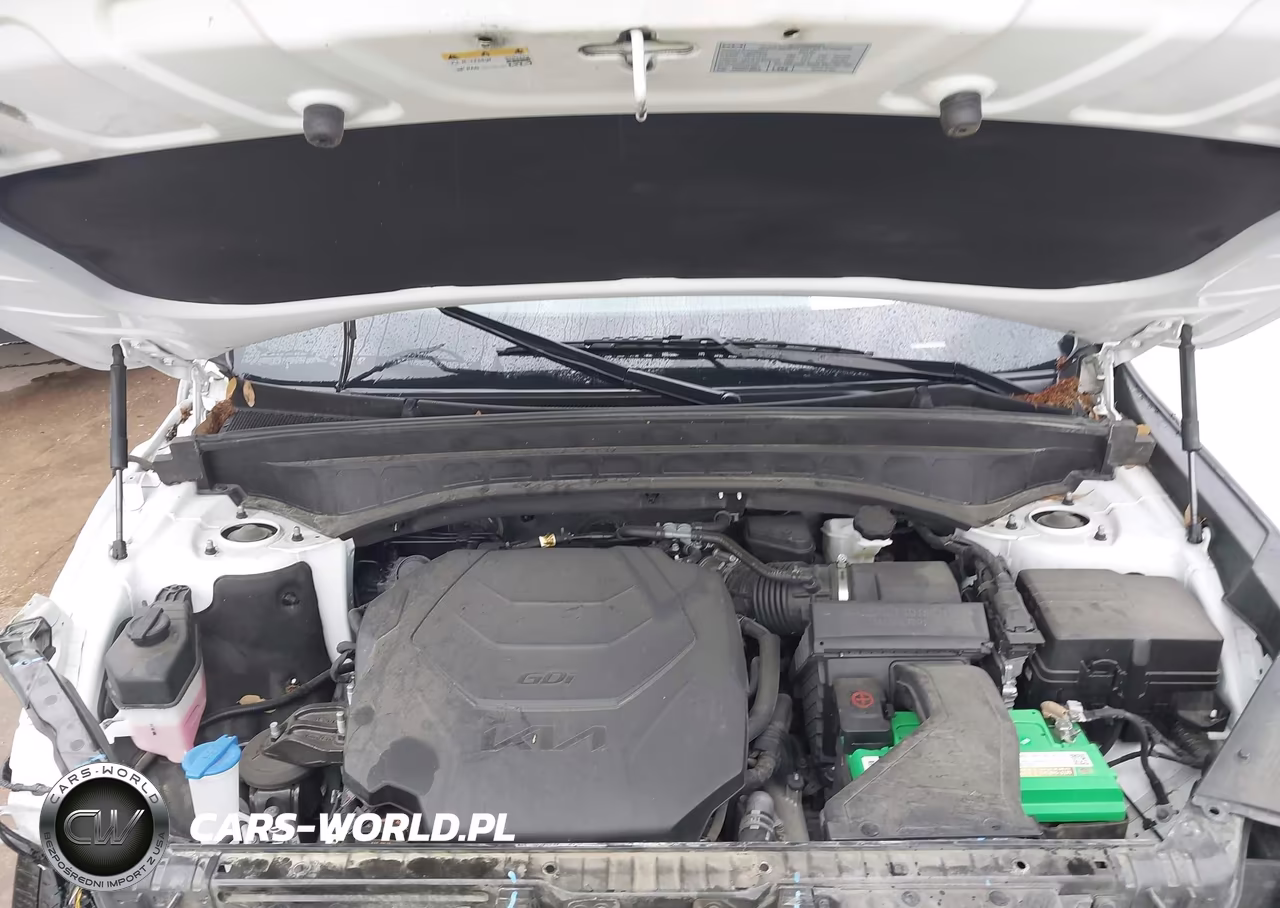 2023 Kia Telluride Sx Prestige VIN:5XYP5DGC2PG402534 - 10