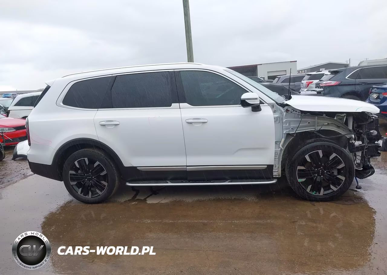 2023 Kia Telluride Sx Prestige VIN:5XYP5DGC2PG402534 - 14