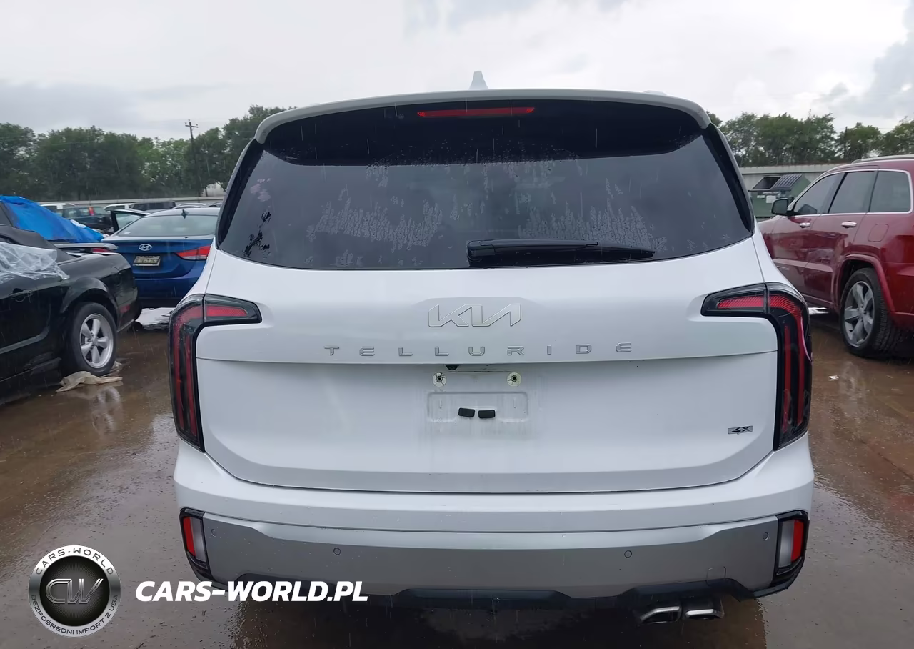 2023 Kia Telluride Sx Prestige VIN:5XYP5DGC2PG402534 - 17
