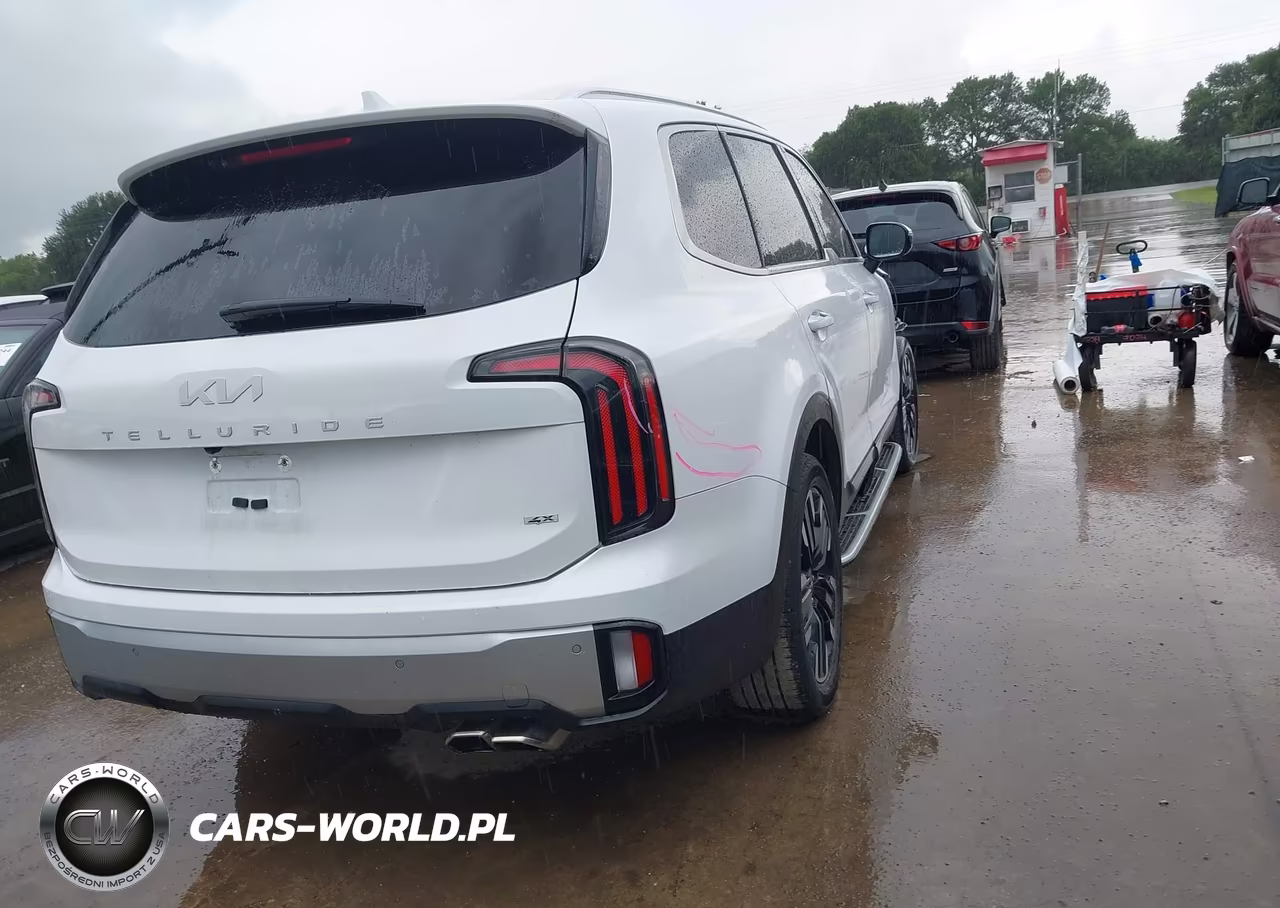2023 Kia Telluride Sx Prestige VIN:5XYP5DGC2PG402534 - 4