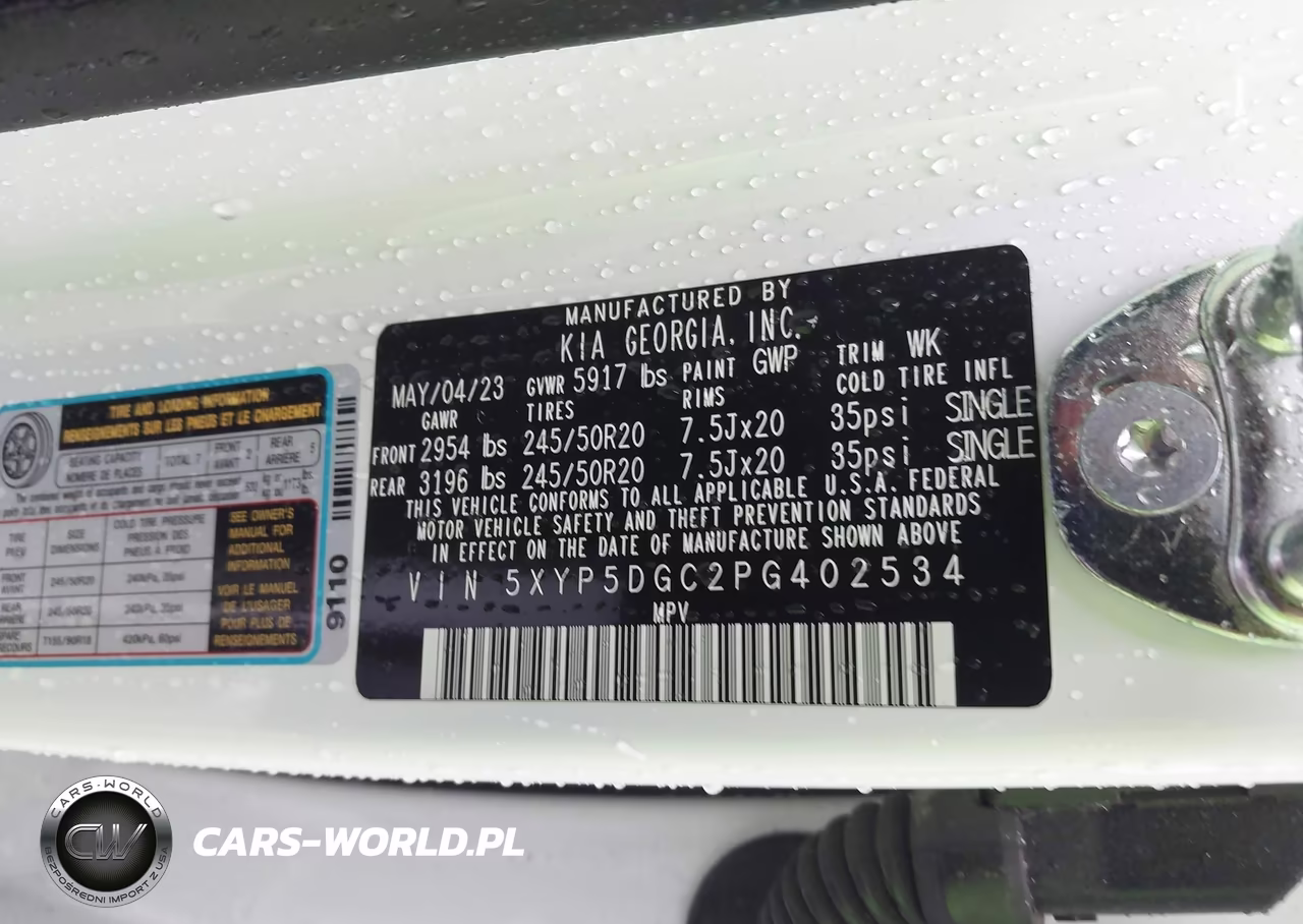 2023 Kia Telluride Sx Prestige VIN:5XYP5DGC2PG402534 - 9