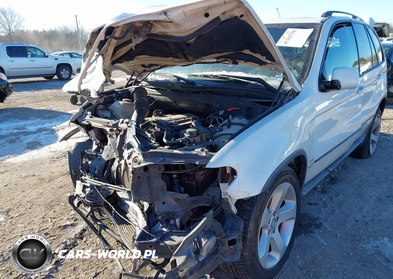 2006 BMW X5 4.4I VIN:5UXFB53526LV20912 - 19