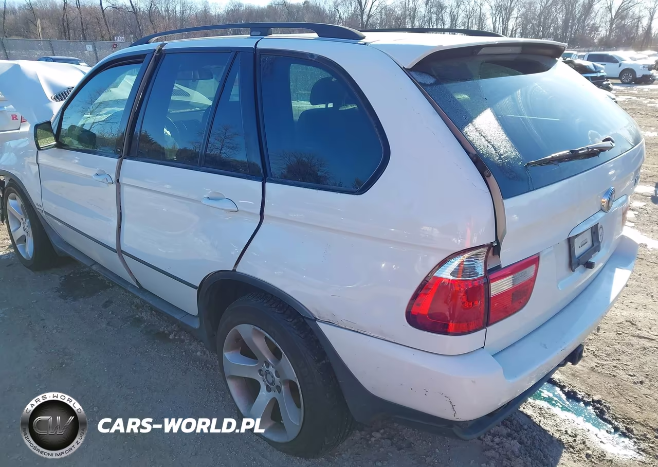 2006 BMW X5 4.4I VIN:5UXFB53526LV20912 - 3