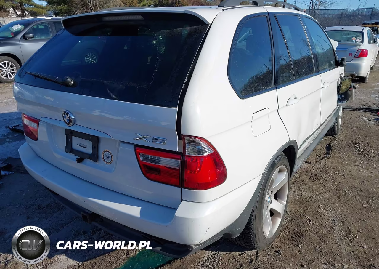 2006 BMW X5 4.4I VIN:5UXFB53526LV20912 - 4