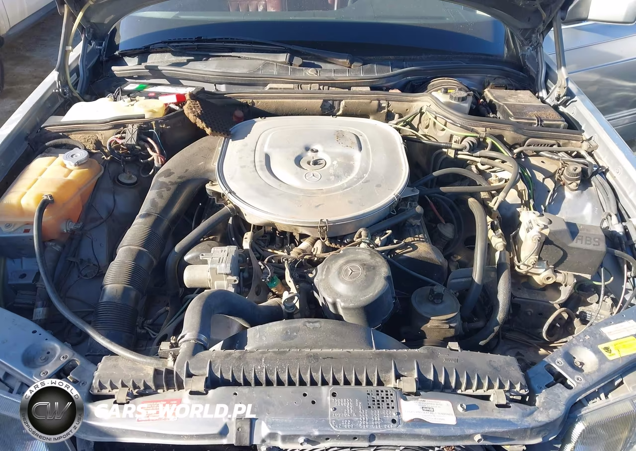 1987 Mercedes-Benz 420 Sel VIN:WDBCA35D9HA318744 - 10