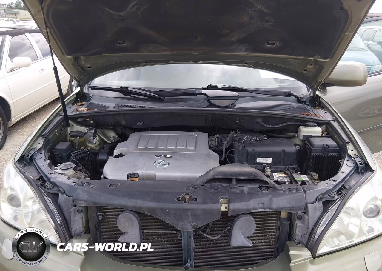 2008 Lexus Rx 350 VIN:2T2GK31U78C054372 - 10
